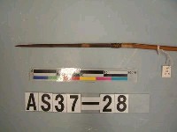 藏品(單鏃木箭)的圖片